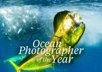Ocean Photographer of the Year Exhibition en Melbourne