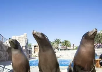 Marineland Antibes et Kid's Island en Nice