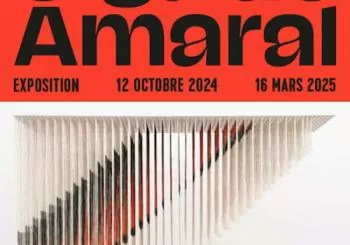 Exposition 'Olga de Amaral' à la Fondation Cartier en Paris