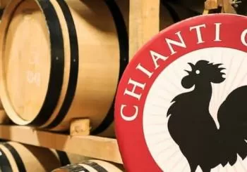 Regione del Chianti: Gita di un giorno da Firenze + Tour dei vigneti Florence