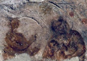 Catacomba di Priscilla: Visita Guidata en Roma
