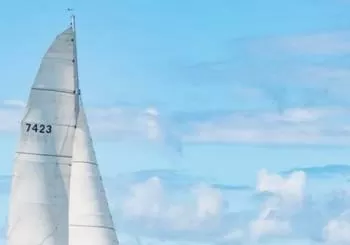 Island Hopper Day Cruise - sailing to wildlife sanctuary island - 6 hr cruise en Paihia