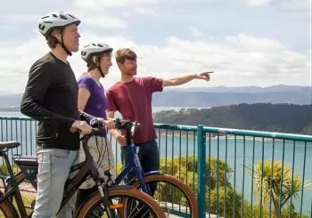 Guided Wellington Sightseeing Tour by Electric Bike