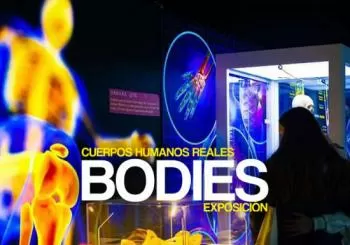 Exposición Bodies en Madrid