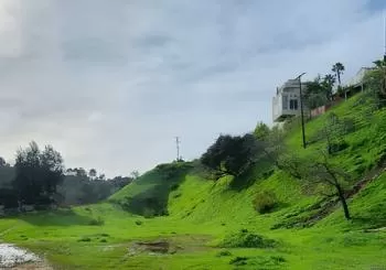 LA River Eco Tour and Secret Stair Hike Los Angeles