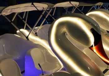 Long Beach Swan Boat Rental at Rainbow Lagoon en Los Angeles