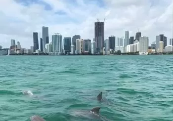 Semi-Private Zodiac RIB Boat Tour w/Exclusive Stiltsville Access en Miami