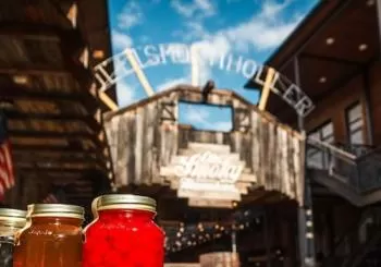 Nashville: Soul of Music City Night Tour