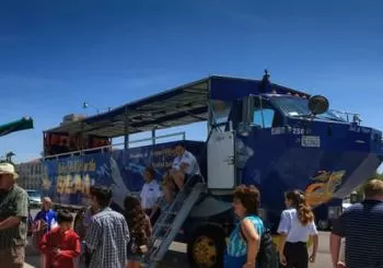 San Diego: 90-Minute Seal Tour with Amphibious Bus