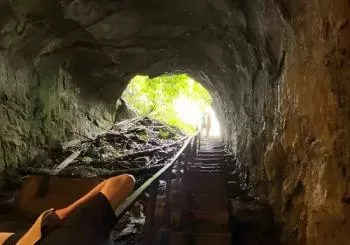 The Giant Tortoise Experience | Lava Tubes + Los Gemelos (Shared Tour) en Santa Cruz