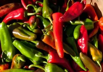 Wander New Mexico Food Tour - Railyard Arts District en Santa Fe