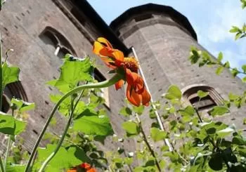 Palazzo Madama: Salta la fila en Turin