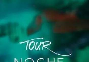 CÁDIZ - TOUR NOCHE IMPROVISADA . En Cádiz 