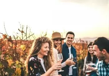 Napa and Sonoma Wine Country Full-Day Tour from San Francisco