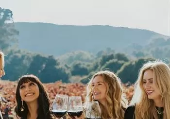 The Ultimate Napa and Sonoma Wine Tour en San Francisco