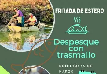 HUERTA MARINA ESTERO NATURAL : FRITADA DE ESTERO en PUERTO REAL (PUNTO LIMPIO DE CASINES A LAS 12:00)