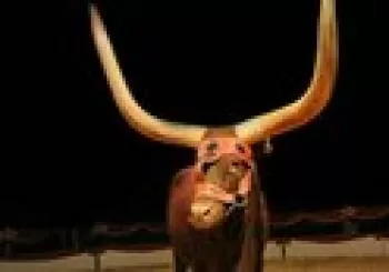 CIRC DE NADAL presenta ZOORPRENDENTE EL CIRCO DE LOS ANIMALES en Valencia