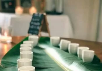 Visita Kenshô en el Delta del Ebro + Cata de Miso en Barcelona