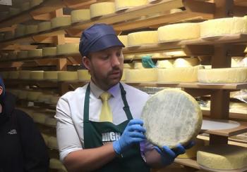 Vineyard & Cheesemaker Bus Tour of Sussex en Brighton