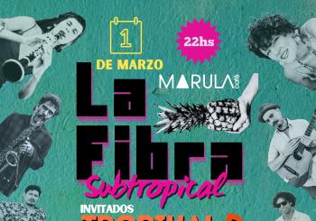 La Fibra Subtropical+ Tropikal B en Marula en Barcelona