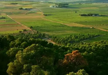 Visita Bodega Casa Los Frailes en Fontanars dels Alforins