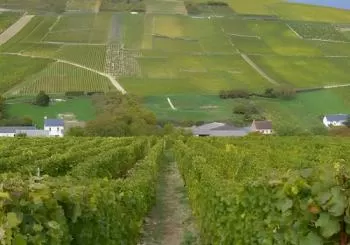 Exclusive Wine tour in Sancerre & Pouilly Fumé from Paris