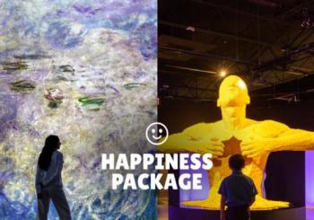Happiness Package: The Art of the Brick + Monet en Washington DC