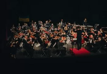 ORQUESTA CONCERTANTE DE MADRID-DESCUBRIENDO LA ORQUESTA