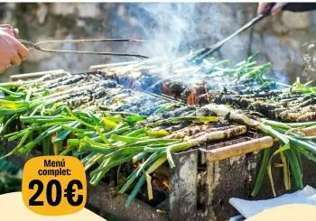 Calçotada de Sant Medir en Barcelona