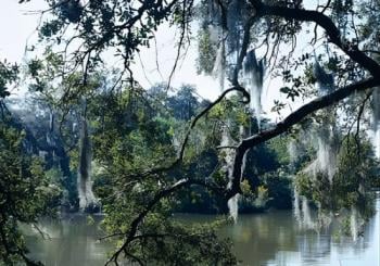 A Walk in the Park: City Park New Orleans Audio Tour