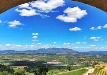 Tour Premium de Vinos y Espumosos en Barcelona