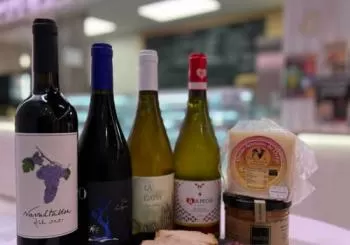 Cata de vinos y maridaje Segoviano en Madrid
