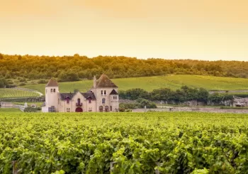 French Wine Tasting en Sitges