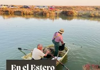 DESPESQUE CON TRASMALLO : FIESTA DE PRIMAVERA en PUERTO REAL (PUNTO LIMPIO DE CASINES A LAS 12:00)