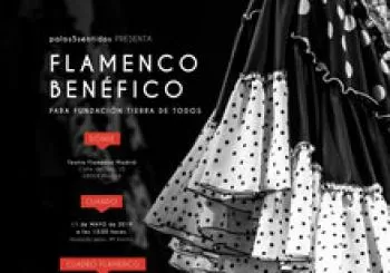 FLAMENCO BENÉFICO. En Madrid