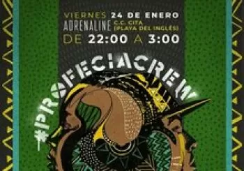 #PROFECIACREW IS BACK. En Playa del Ingles