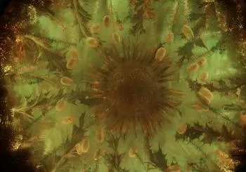ORBITA DE LA HECHICERA en MURGIA