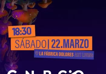 Generación Espontánea: La experiencia del arte en Dolores