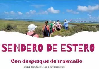 DESPESQUE CON TRASMALLO : SENDERO DE ESTERO en PUERTO REAL (PUNTO LIMPIO DE CASINES A LAS 10:00)