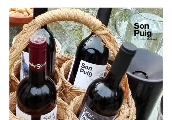 Cataclown solidaria Son Puig en Puigpunyent