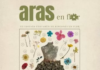 Taller de Esparto - Aras en Flor en Aras de los Olmos