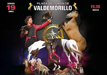 Paco Martos Horse Show En Valdemorillo