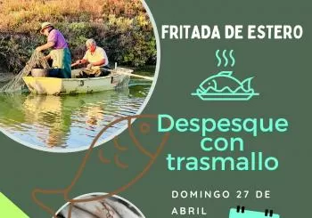 DESPESQUE CON TRASMALLO: FRITADA DE ESTERO en PUERTO REAL (PUNTO LIMPIO DE CASINES A LAS 12:00)