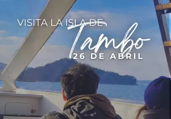 Visita guiada a la Isla de Tambo en Combarro