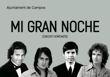 Mi Gran Noche en teatro de Campos