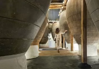 Experiencias Vinartfest 2025 - Visita Bodega Torres Filoso en VIllarrobledo