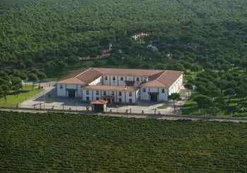 Experiencias Vinartfest 2025 - Visita Bodega Pago La Jaraba en VIllarrobledo