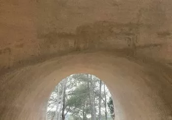 De verdor o de carícia en Pollença