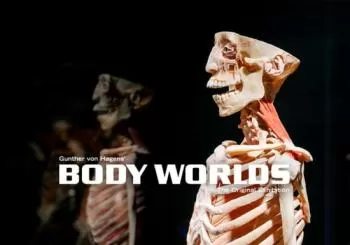BODY WORLDS: The Anatomy of Happiness en Brisbane