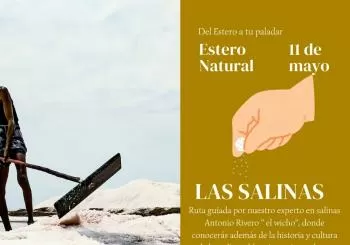 DEL ESTERO A TU PALADAR: LAS SALINAS en PUERTO REAL (PUNTO LIMPIO DE CASINES A LAS 12:00)